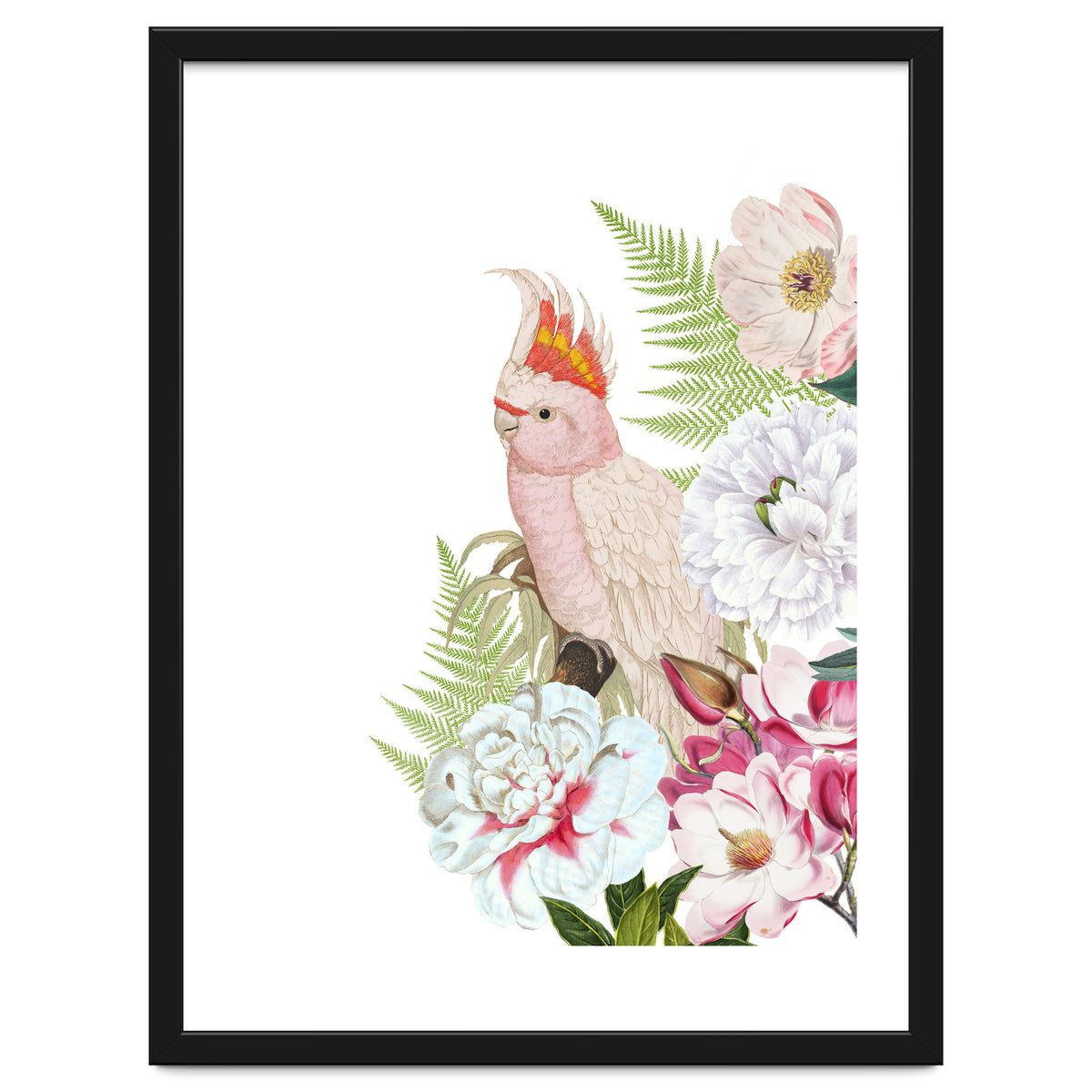 Cockatoo in Flower Jungle