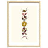 Floral Phases Of The Moon thumbnail