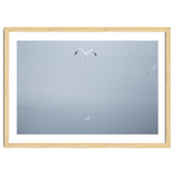 A flying seagull in the winter sky thumbnail