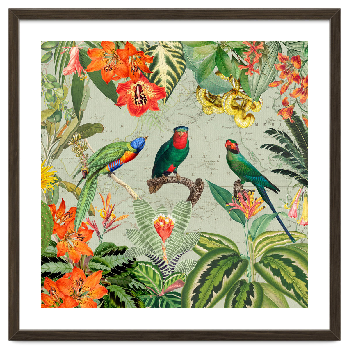 Exotic Parrots Jungle Landscape