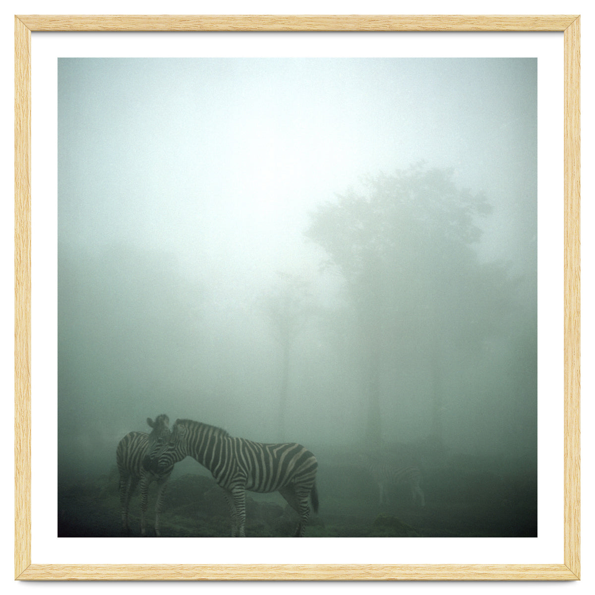 Silence of breath - 15