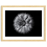 Backyard Flowers In Black And White No 10 Flow Version thumbnail