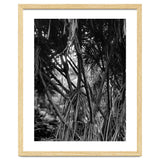 Black Tectorius Plant Art thumbnail