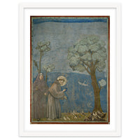 Saint Francis of Assisi preaching to the birds. Giotto. GIOTTO DE BONDONE (1266-1337).