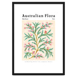 Australian Flora: Wax Flower thumbnail