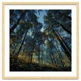 Celestial Forest Canopy with Swirling Golden Fireflies and Deep Twilight Blue Sky Digital Art thumbnail