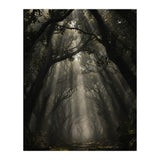 Enchanted Canopy: Mystical Forest Path (Print Only) thumbnail