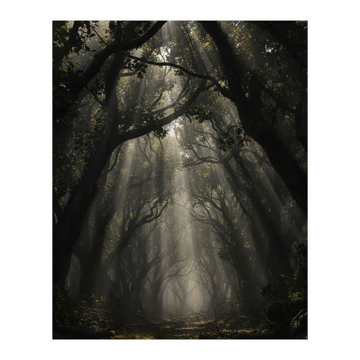 Enchanted Canopy: Mystical Forest Path (Print Only)