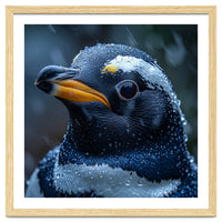 Macro view of a Penguin with Water Droplets