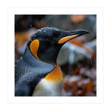 King Penguin In Rain With Water Drops (Print Only) thumbnail