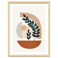 Soft Shapes III