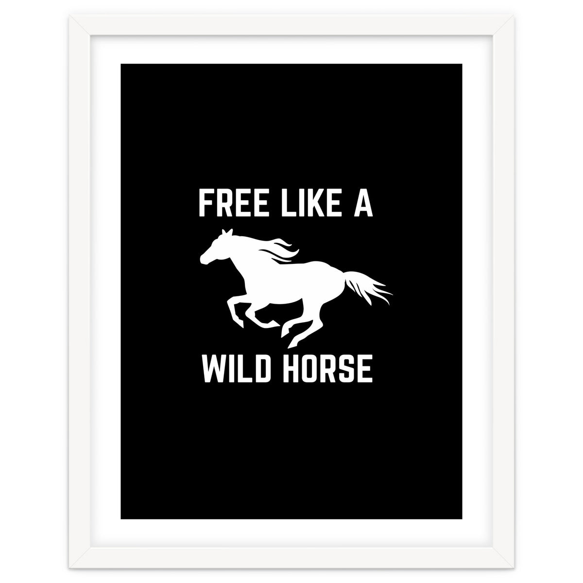 Free like a wild horse