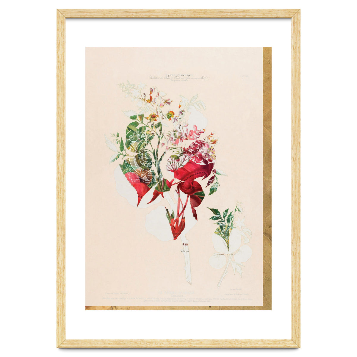 The First Plant · Aufbluehen