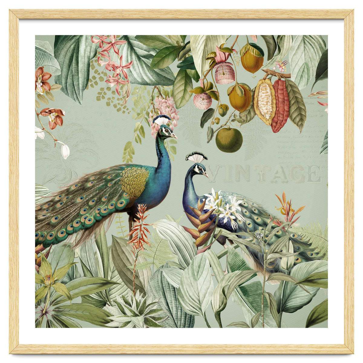 Vintage Exotic Asian Peacocks In Tropical Jungle Landscape