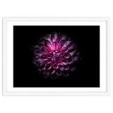 Backyard Flowers No 57 Color Version thumbnail
