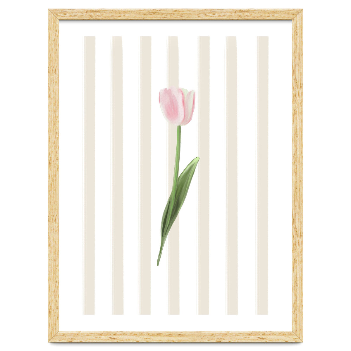 Single Tulip