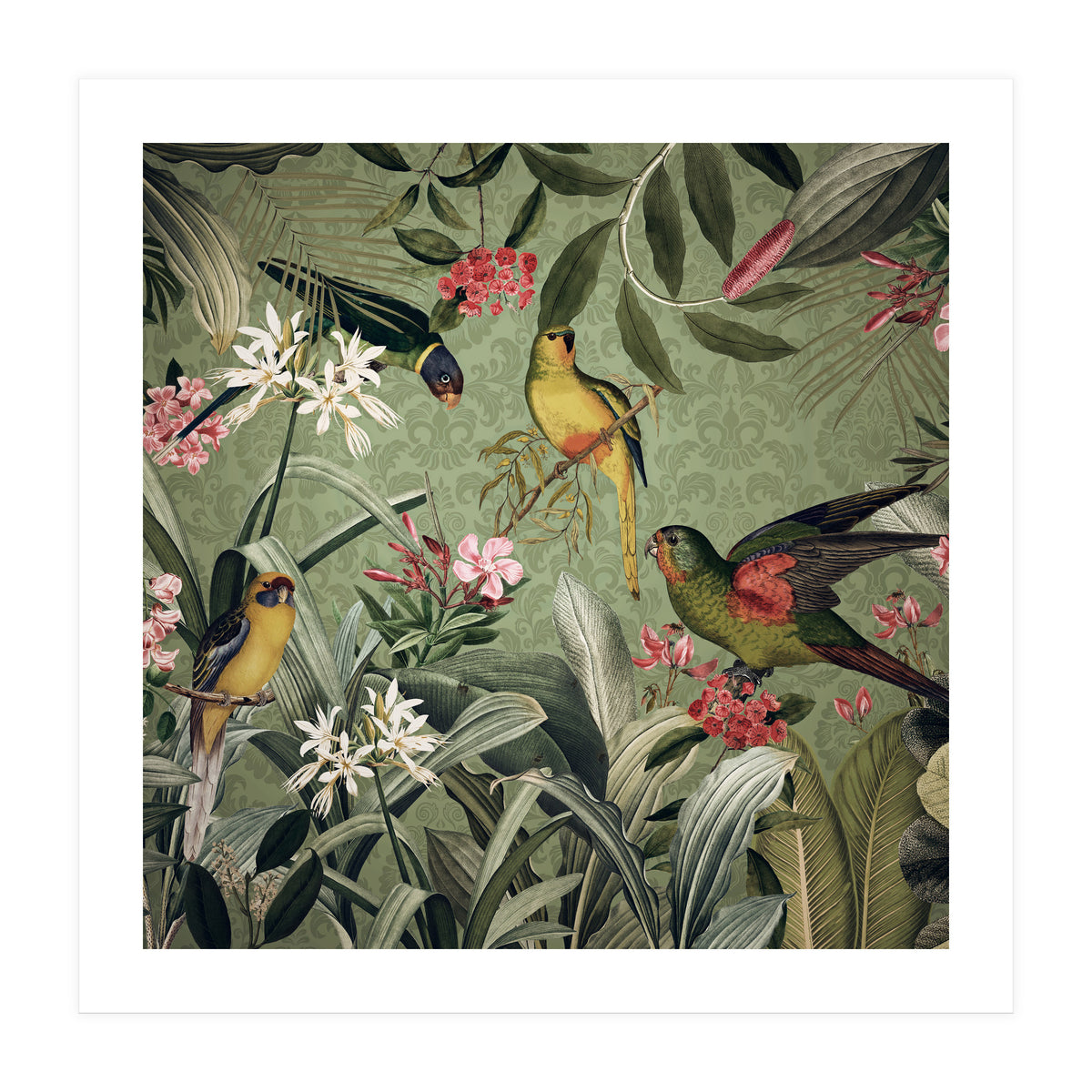 Jungle Bird Friends (Print Only)