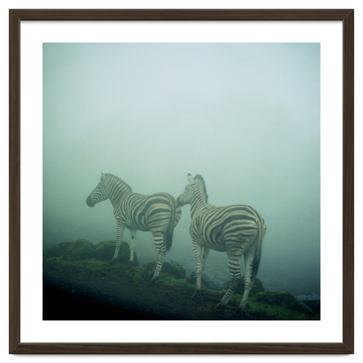 Silence of breath - 14