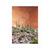 Rustic (Print Only) thumbnail