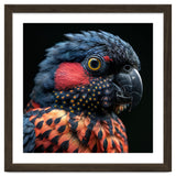 Close Up Portrait Of A Colorful Exotic Parrot thumbnail