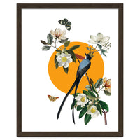 collage floral birds