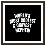 World's most coolest and okayest nephew thumbnail