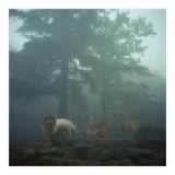 Silence of breath - 05 (Print Only) thumbnail