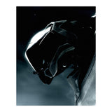 Halo (Print Only) thumbnail