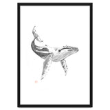 Whale thumbnail