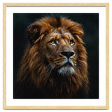 Majestic Lion Portrait In Gentle Rain thumbnail