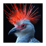 Secretary Bird (Print Only) thumbnail