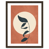 Summer Leaves