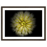 Backyard Flowers No 86 Color Flow Version thumbnail