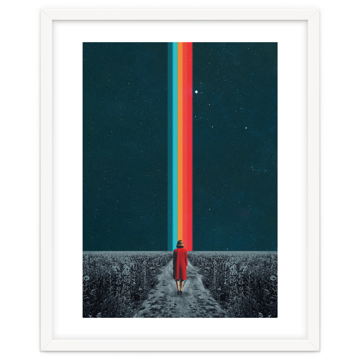 Follow Your Own Path