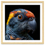 Close Up Of A Colorful Parrot Bird's Head thumbnail