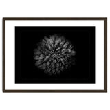 Backyard Flowers In Black And White No 68 with Border thumbnail