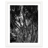 Black Tectorius Plant Art thumbnail