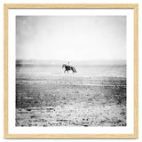 Sea Horse thumbnail