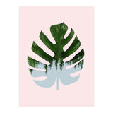 Monstera (Print Only) thumbnail