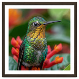 Close Up Of A Hummingbird On Red Flowers thumbnail