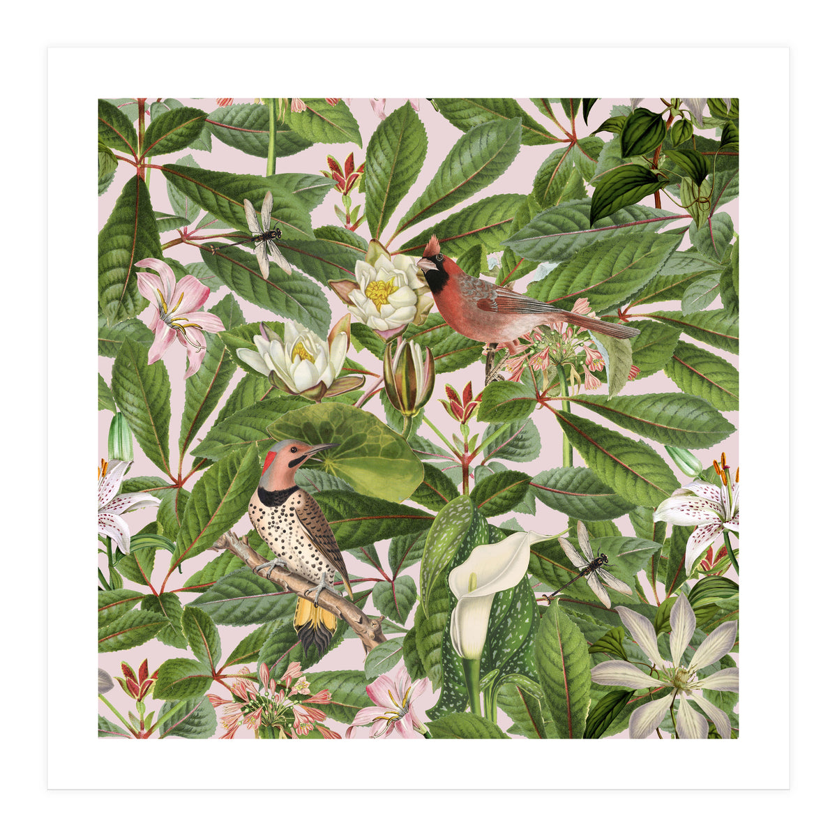 Tropical Bird Garden (Print Only)