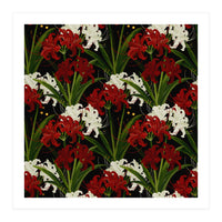 Red and White Spider Lily Flower Print Elegant Botanical Japanese Inspired Floral Artwork (Print Only)