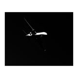 Dark Skies (Print Only) thumbnail