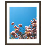 Pink Summer thumbnail