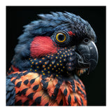 Close Up Portrait Of A Colorful Exotic Parrot (Print Only) thumbnail