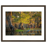 Heron in the swamps thumbnail