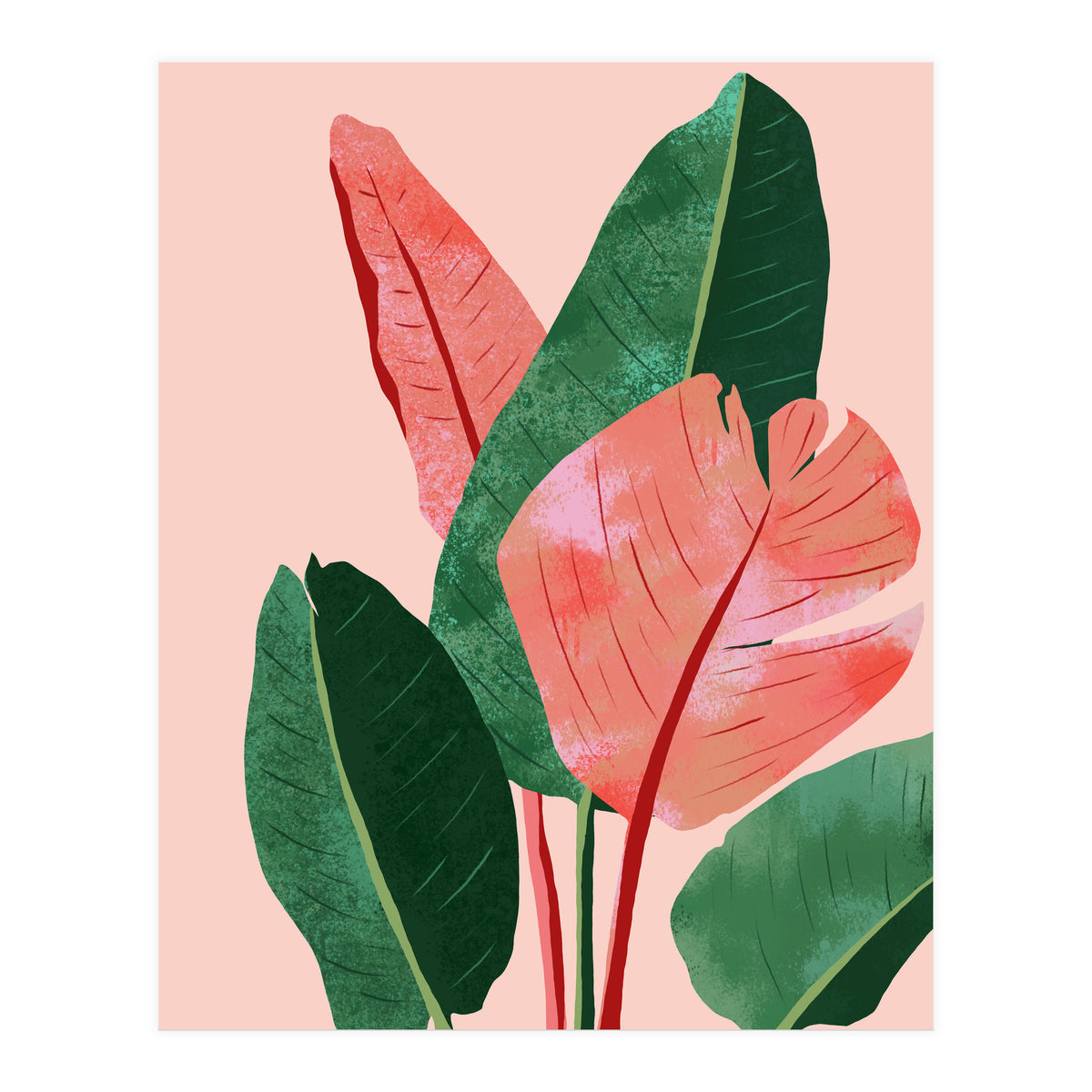 Blush Tropical, Banana Leaves Watercolor Botanical Jungle Painting, Forest Plants Leaves Pink Chic Bohemian (Print Only)