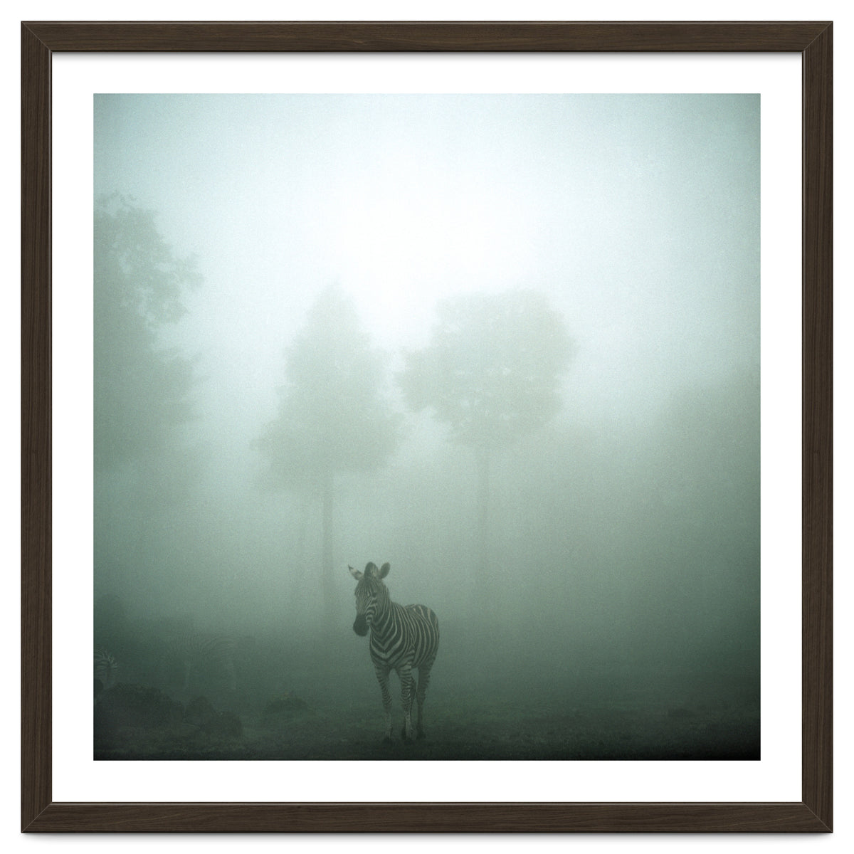 Silence of breath - 01