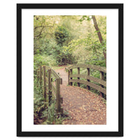 Path To The Bridge