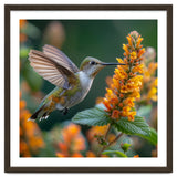 Hummingbird Feeding On Yellow Flowers Nectar thumbnail